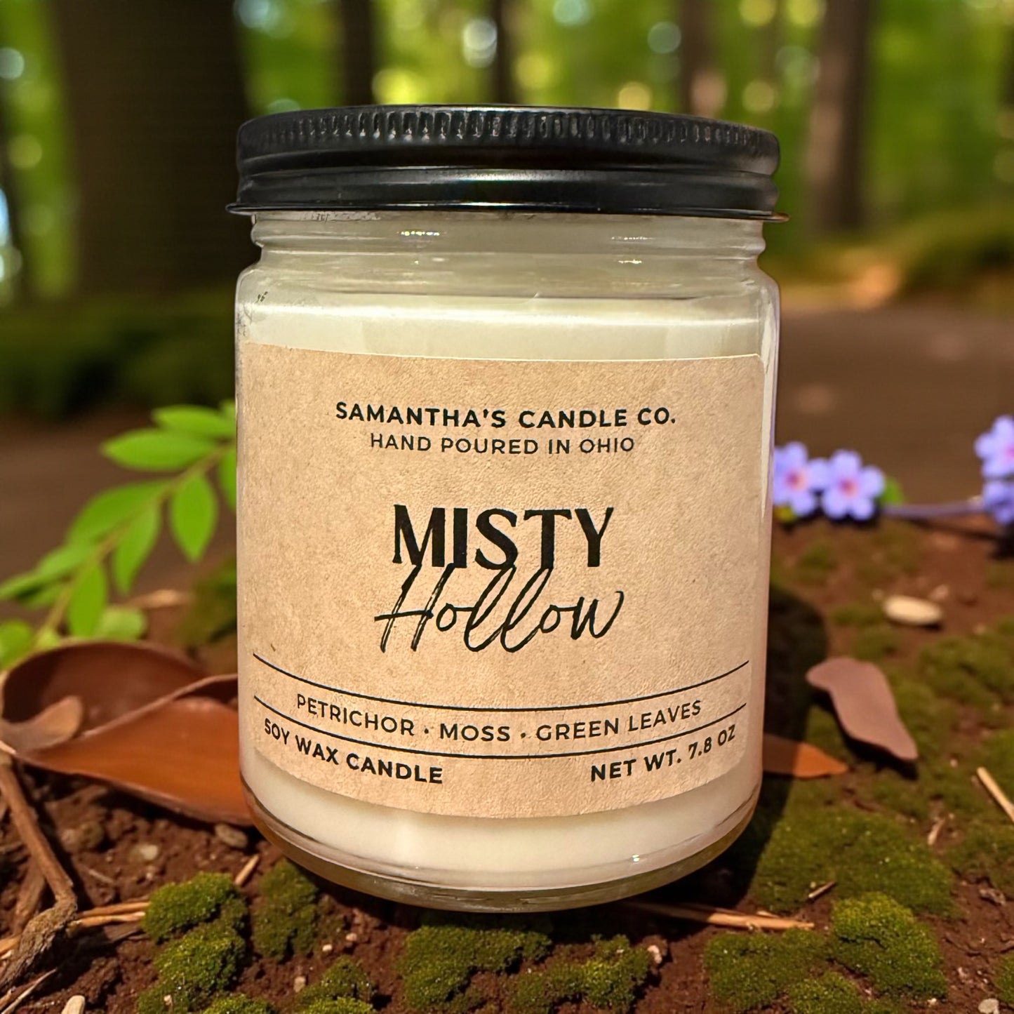 Misty Hollow